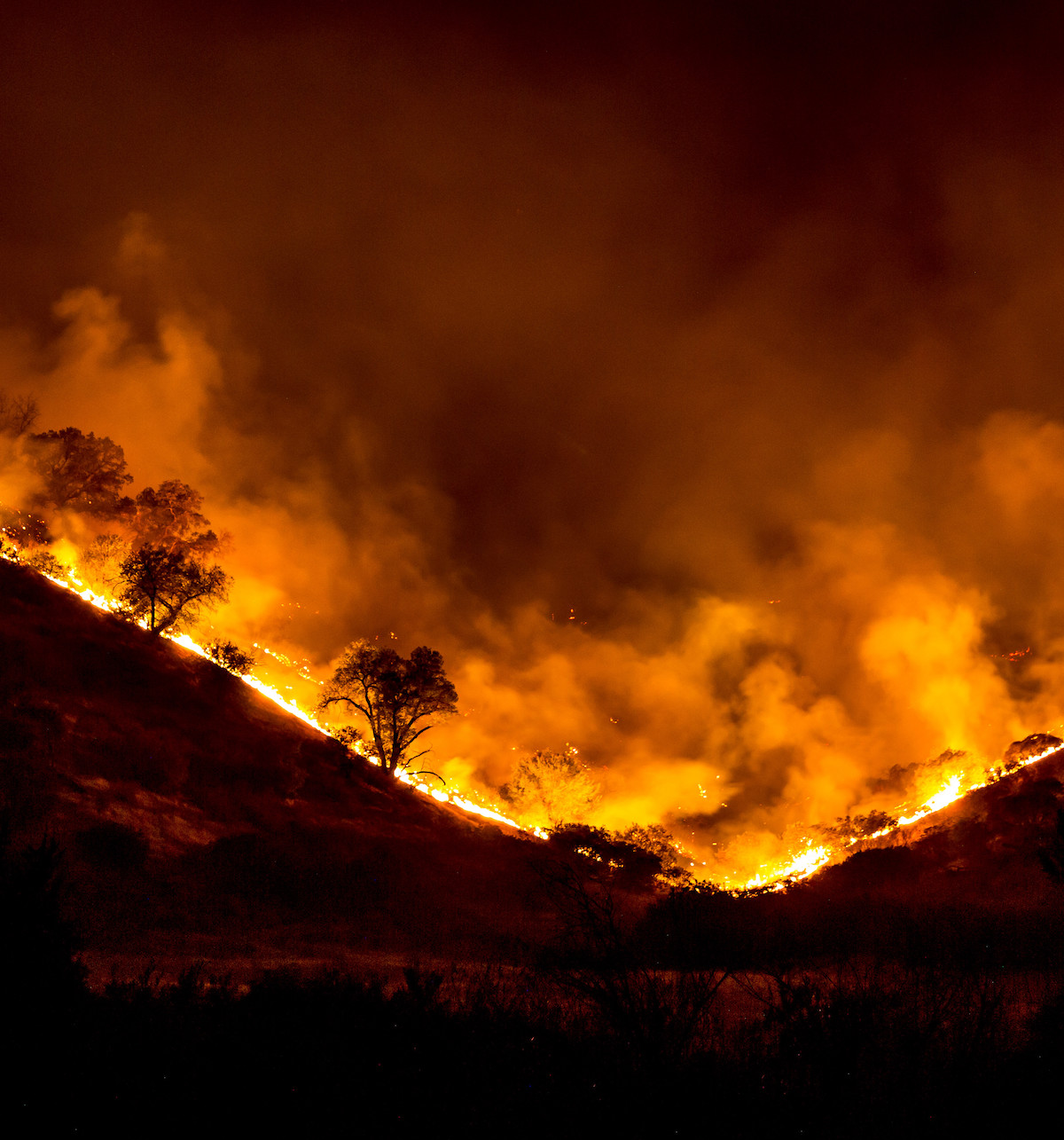 Woolsey fire, University of California