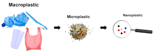 macroplastics